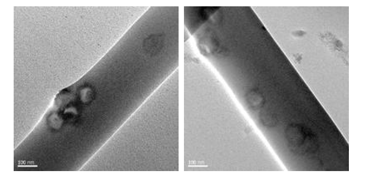 HSNS를 각각 5wt%(좌), 10wt%(우) 함유한 나노섬유의 TEM 이미지