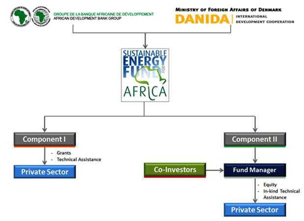 아프리카 보전 에너지 펀드(SEFA) 조직구조