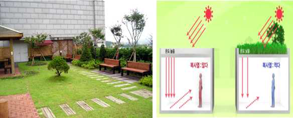옥상 녹화 적용 사례 (왼쪽) 및 옥상녹화 적용 시 실내 온도 저감 효과 비교 (오른쪽)