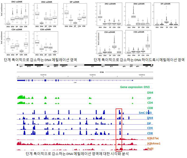 마우스 T세포의 분화과정동안 단계 특이적인 DNA 메틸레이션 및 하이드록시메틸레이션에 대한 분석