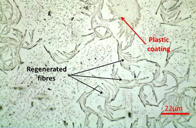 Morphology of the substrate.