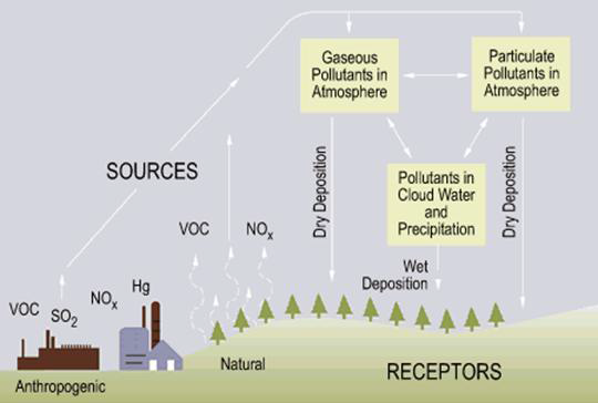 다양한 오염물질 배출에 따른 미세먼지(습윤, 건식) 침적 과정