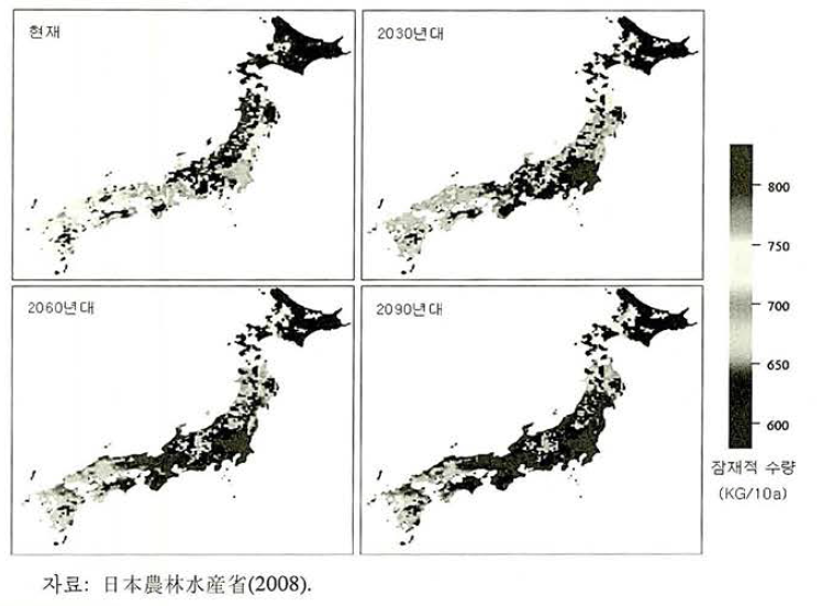 일본의 기온상승에 따른 쌀 재배 예측