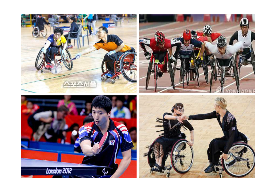 휠체어 장애인 전문 스포츠 활동의 예