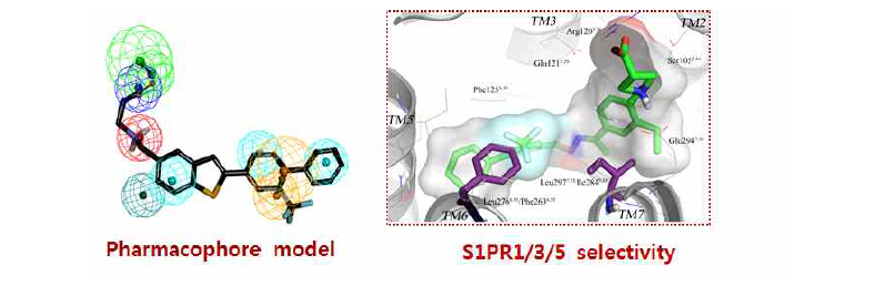 구조기반 pharmacophore 도출 및 docking study