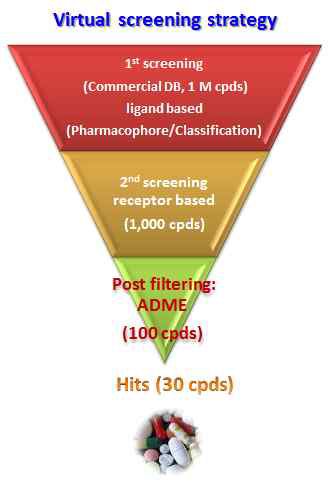 Virtual screening strategy