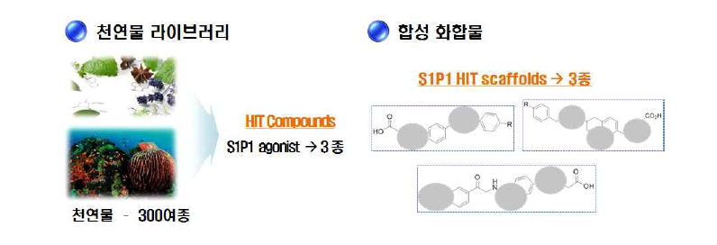 활성 화합물 스크리닝을 통한 Hit compounds 도출