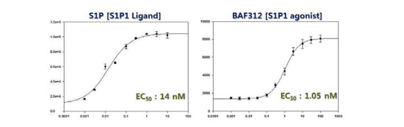 효능 평가를 통한 S1P1 β-arrestin assay 시스템 검증