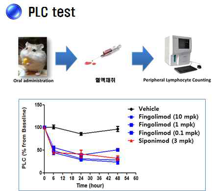 PLC in vivo 효능 평가 시스템 구축