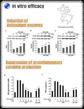 SZH의 In vitro efficacy를 통한 항산화 및 항염증 효능