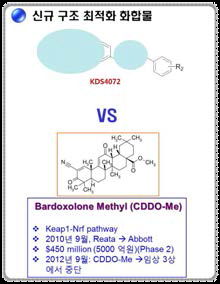 신규 화합물 KDS4072 도출 및 In vitro Nrf2 활성화 효능 검증