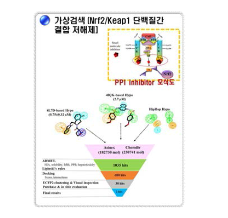 구조 시뮬레이션을 이용한 가상 검색