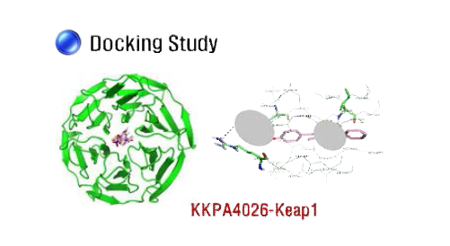 Target 단백질에 대한 binding pattern 분석