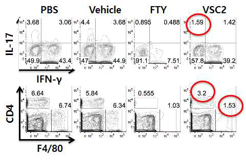 VSC2의 Th1, Th7 세포조절능 효능평가 결과