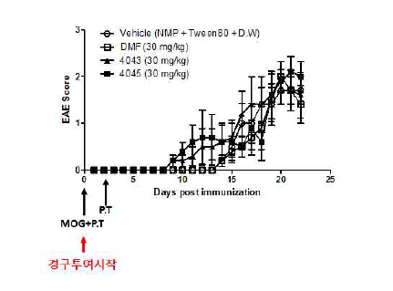 KDS4043의 in vivo 효능 검증결과