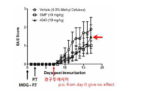 KDS4043의 in vivo 효능 검증결과