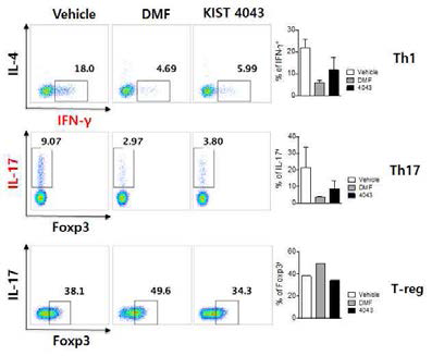 KDS4043의 Th1, Th17 세포조절능 효능평가 결과