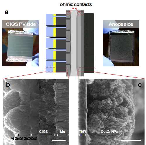 일체형의 CIGS 모듈과 Co3O4 물산화 촉매의 사진 (a) 및 SEM 이미지 (b,c)