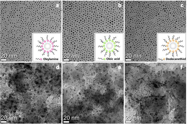 Oleylamine, oleic acid, dodecanethiol의 capping agent를 사용하여 합성한 5nm 은 나노 입자 (a-c)와 각각을 블랙카본에 담지한 Ag/C (d-f)의 TEM 이미지