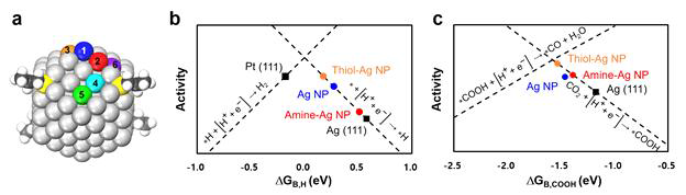 (a) Ag 나노 입자의 표면의 흡착 자리 모식도, Ag(111) bulk 표면, Ag NP, Amine-Ag NP, Thiol-Ag NP의 (b) H 결합 세기에 따른 수소 발생 활성도 volcano plot, (c) COOH 결합세기에 따른 일산화탄소 생성 활성도 volcano plot