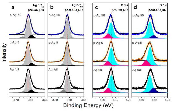 이산화탄소 환원 반응 전후 은 나노 전극 종류별 Ag 3d와 O 1s의 XPS 변화: Ag는 크게 변화가 없으나, 산소의 경우 minor peak의 분포에 변화가 있으며, 안정한 촉매가 CO 생성 활성이 높음.