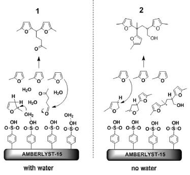 물의 첨가 여부에 따른 Amberlyst-15에서 2-MF의 삼량화.