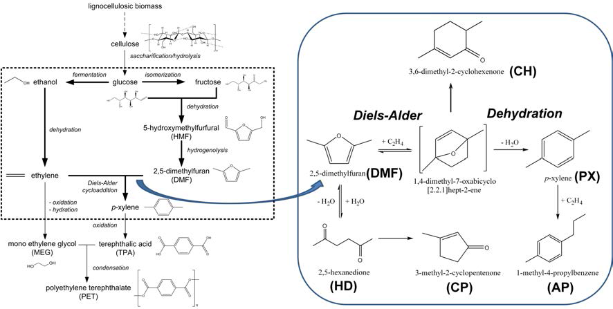 바이오매스 유래 육탄당으로부터 파라자일렌을 생산하는 전공정 모식도 (왼쪽)및 2,5-디메틸퓨란의 파라자일렌 전환 반응 경로 (오른쪽)