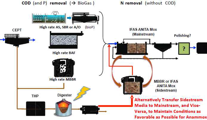 ANITA™ Mox 사의 media 대체 전략 모식도