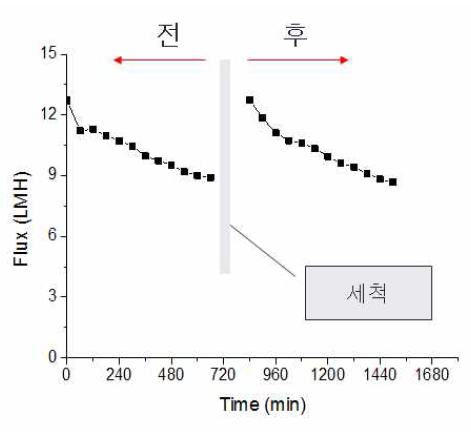 막 성능 회복 효율 결과