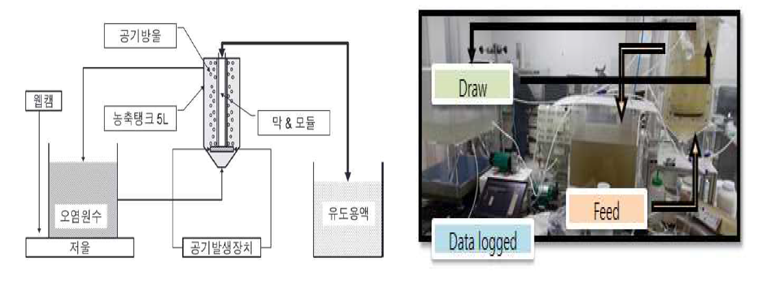 SOM 공정 기반 하수 농축 시스템 (좌. 공정모식도, 우. 실공정 장치)