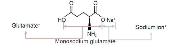 Monosodium glutamate (MSG) 의 구성