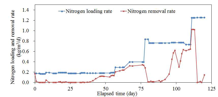 2단식 Anammox 질소제거 반응기에서의 유입 질소 부하 및 제거 속도 (1차년도)