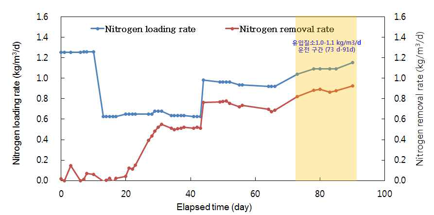 2단식 Anammox 질소제거 반응기에서의 유입 질소 부하 및 제거 속도 (2차년도)