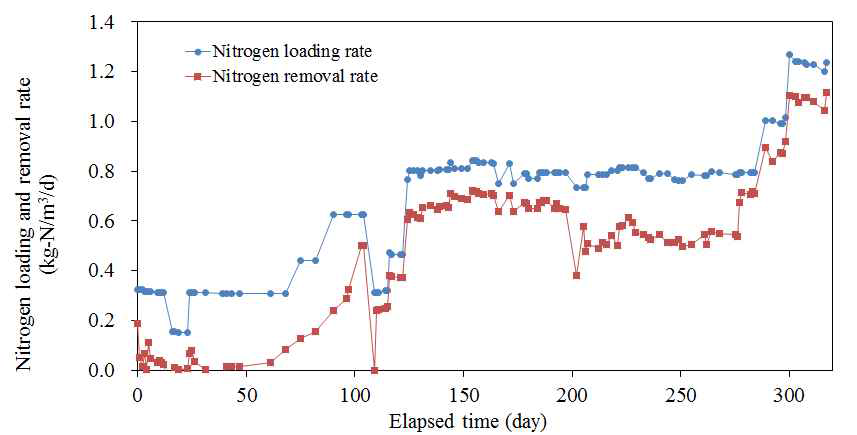 2단식 Anammox 질소제거 반응기에서의 유입 질소 부하 및 제거 속도 (3차년도)