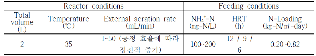 1단식 Anammox 질소제거 반응조 운전 조건