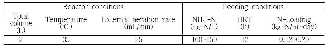 1단식 실폐수 Anammox 질소제거 반응조 운전 조건