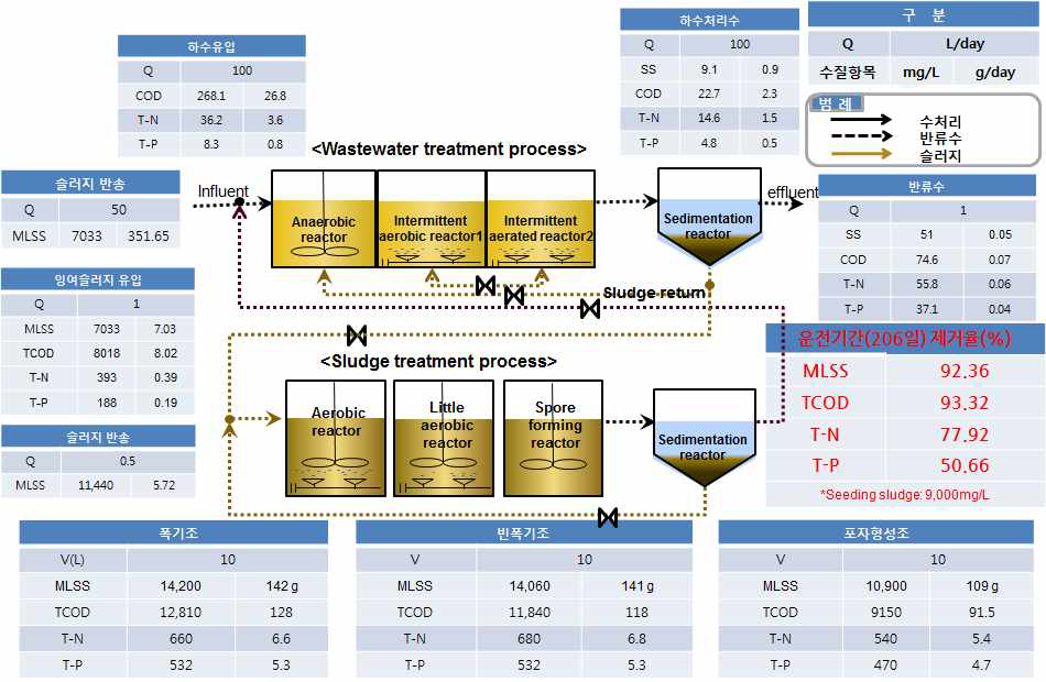 mass balance of sludge treatment process using Bacillus