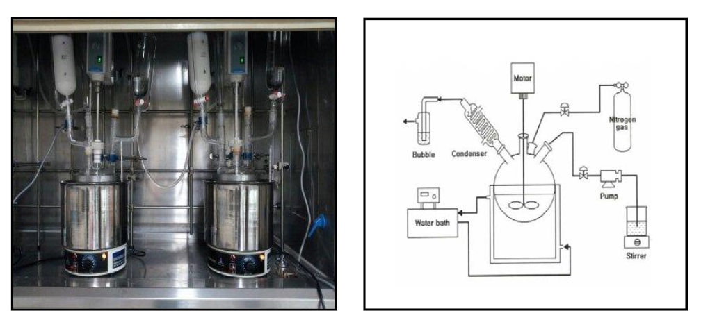 Schematic diagram of polymerization system.