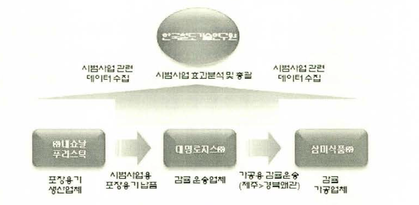 시범사업 추진체계