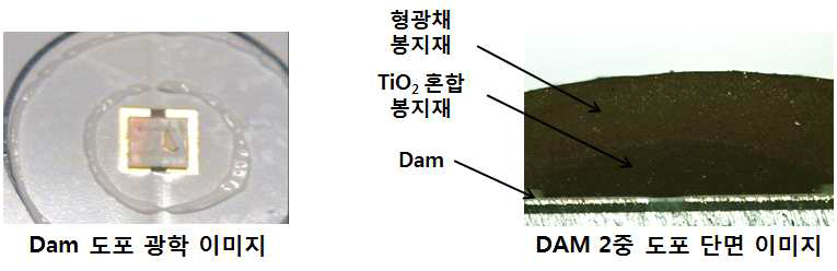 실리콘 봉지재 2중 DAM 형성 실사 이미지