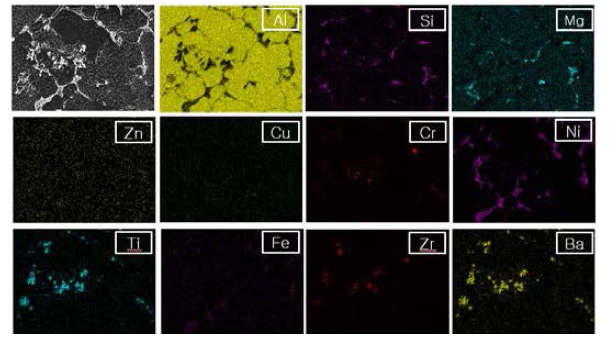 개량된 A6061합금(#R5합금) 시효처리 시험편의 미세구조 및 석출물의형상 (SEM/EDS Dot Mapping Images)