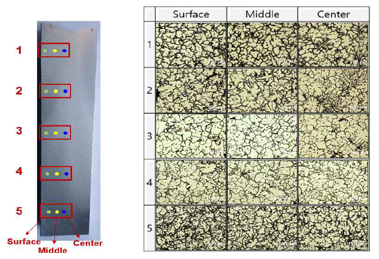 10사이클 점진응고공정에 의해 제조된 A6061 합금 주조품의 위치별 미세구조 (x 100, OM)