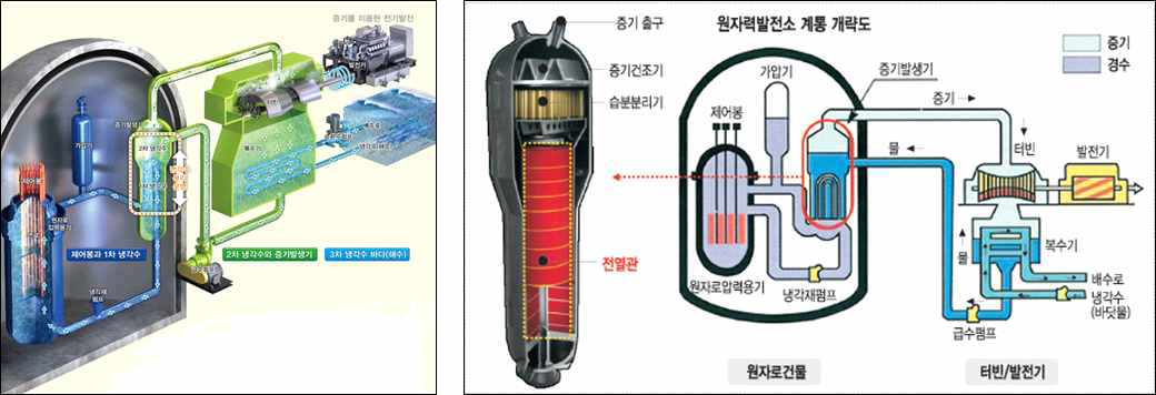 원전 계통 개략도 및 증기발생기 구조