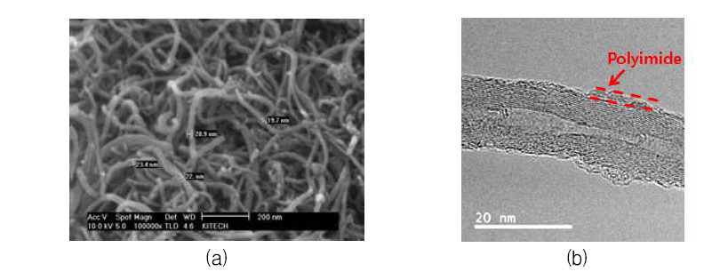 PMDA-ODA/CNT의 SEM(a) 및 TEM(b) 이미지