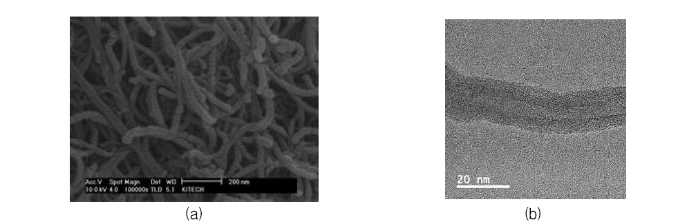 폴리피롤이 코팅된 PI(PMDA-ODA)/CNT Nanowire의 SEM(a) 및 TEM(b) 이미지