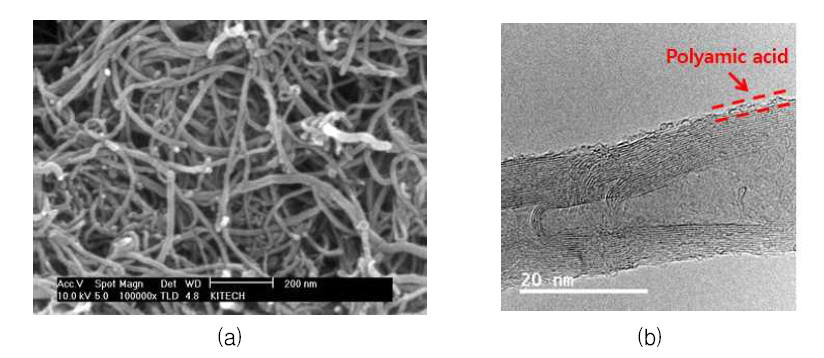 PAA(PMDA-ODA)/CNT Nanowire의 SEM(a) 및 TEM(b) 이미지