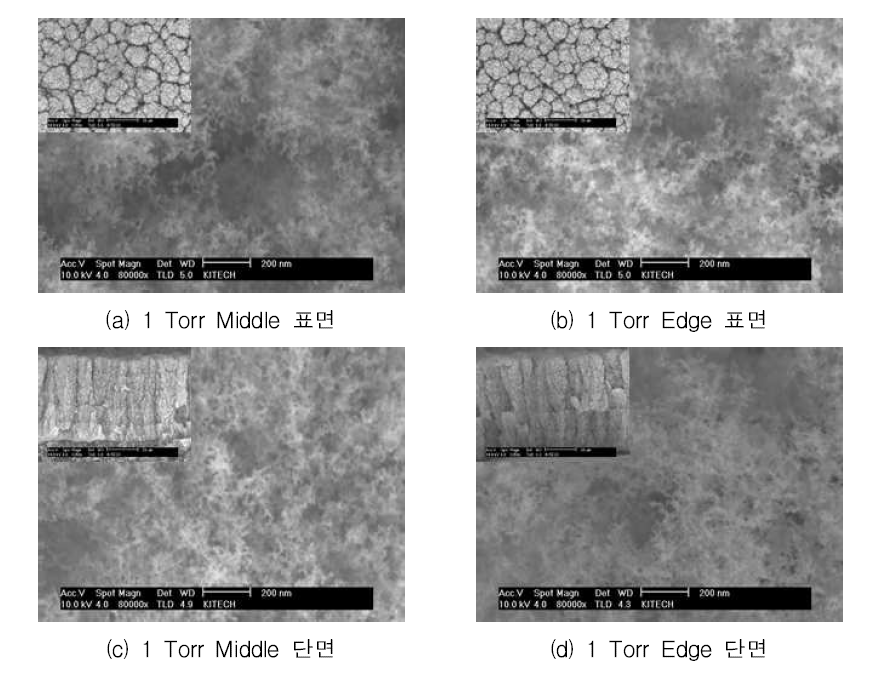 위치별 다공성 Pd 미세구조