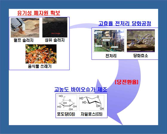 유기성 폐자원 유래 바이오슈가 생산