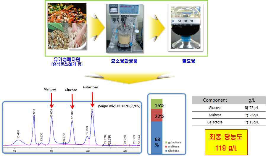 음식물 쓰레기 유래 바이오슈가 생산