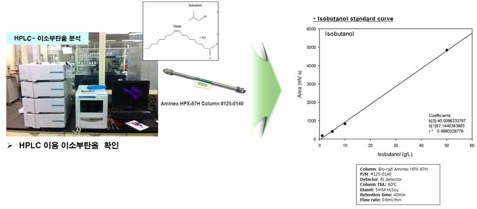 HPLC를 이용한 이소부탄올 Standard 정량분석